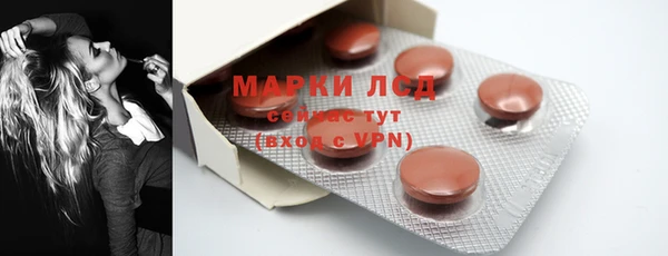 дмт Алзамай