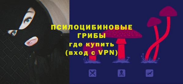 apvp Алексеевка