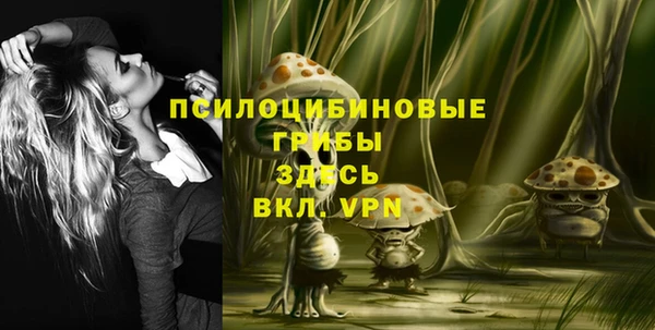 дмт Алзамай