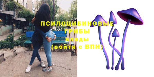 дмт Алзамай