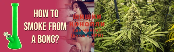 дмт Алзамай