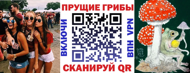 кракен ссылки Берёзовка Псилоцибиновые грибы Psilocybe